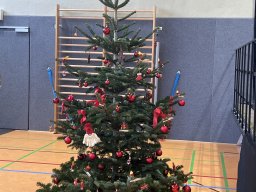 weihnachtsbaum